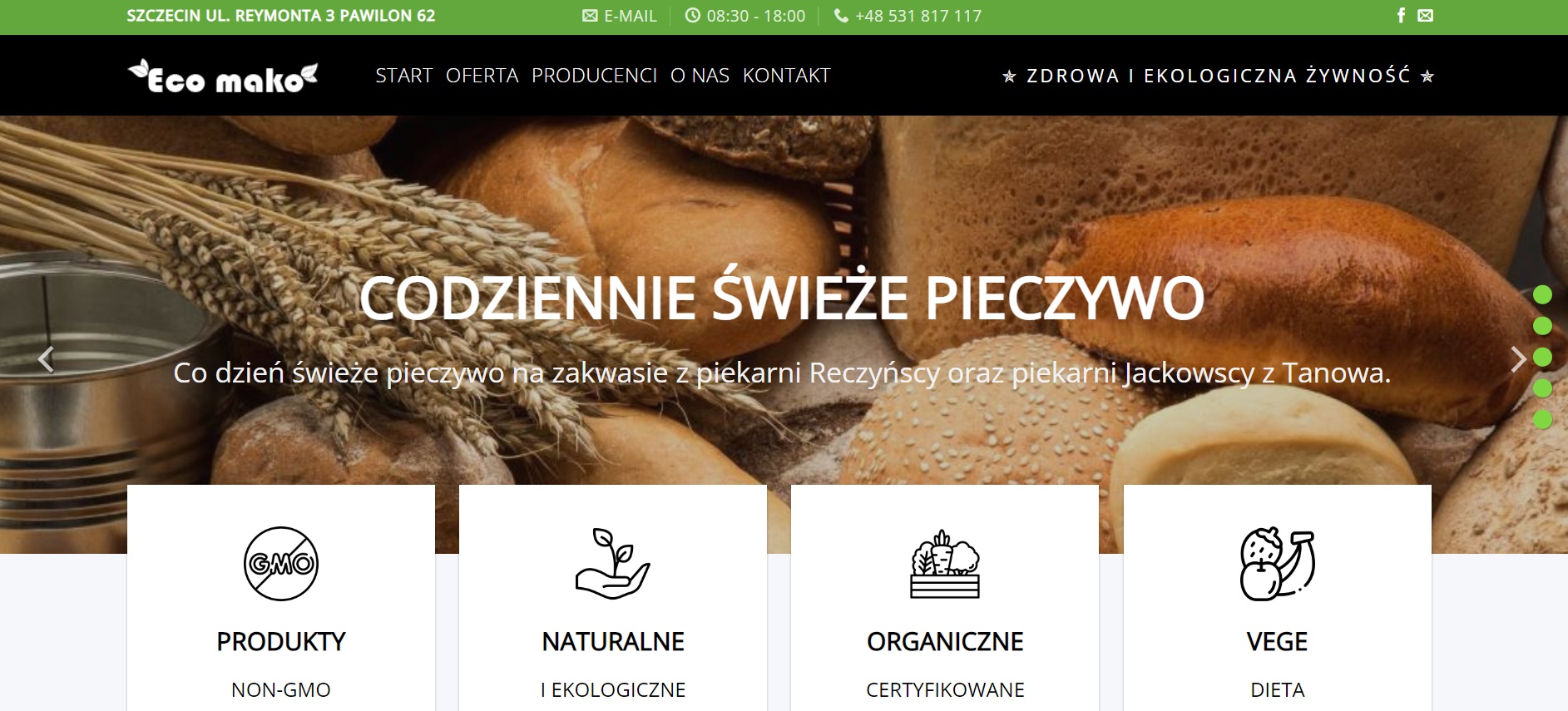 Strona wizytówka Szczecin